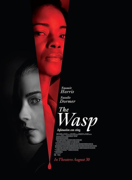 دانلود فیلم زنبور The Wasp 2024 با دوبله فارسی