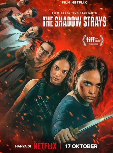 دانلود فیلم سایه های گمشده The Shadow Strays 2024 با دوبله فارسی