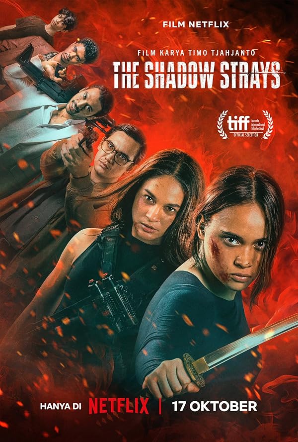 دانلود فیلم سایه های گمشده The Shadow Strays 2024 با دوبله فارسی