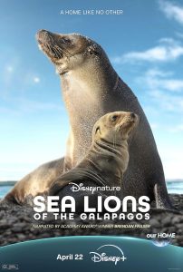 دانلود فیلم Sea Lions of the Galapagos 2025 شیرهای دریایی گالاپاگوس با دوبله فارسی